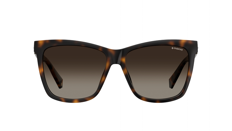 Polaroid sunglasses brisbane sales